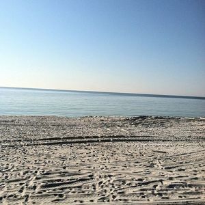 Meet your Posher, Joy